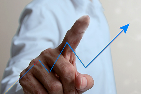 AVM Business Programme - gemeinsam wachsen